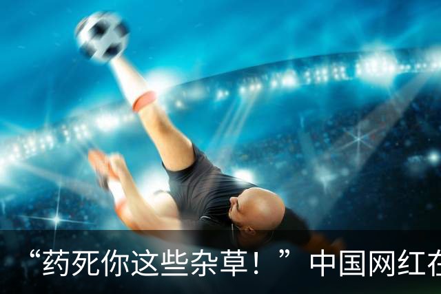 “药死你这些杂草！”中国网红在富士山脚狂喷不明液体，被抓包后说：这只是纯净水！