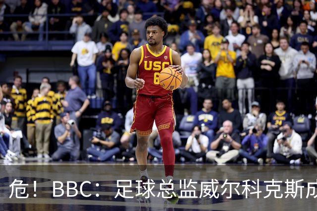 危！BBC：足球总监威尔科克斯成为众矢之的，舆论焦点正向他转移
