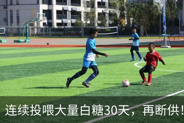 连续投喂大量白糖30天，再断供！国外网红扮“蚂蚁天神”整蛊野生蚁群